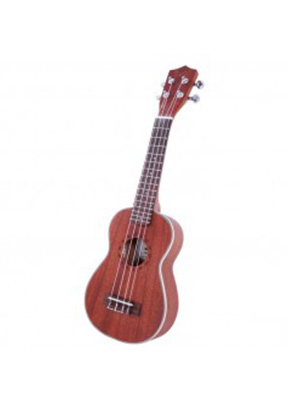 Other stringed instruments