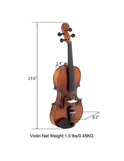 Glarry GV303 Violin spruce top 4/4 Ebony Fittings Bright Matte